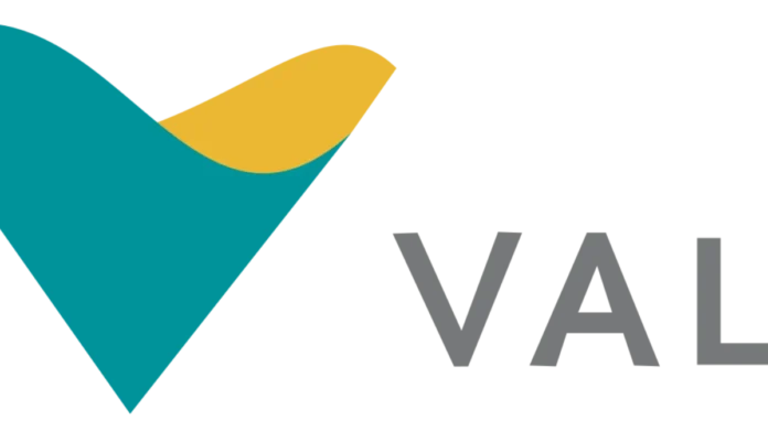 Vale enfrenta escassez de engenheiros para novos projetos, diz CEO